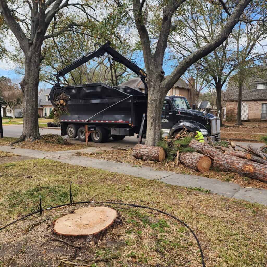 tree services emergency removals