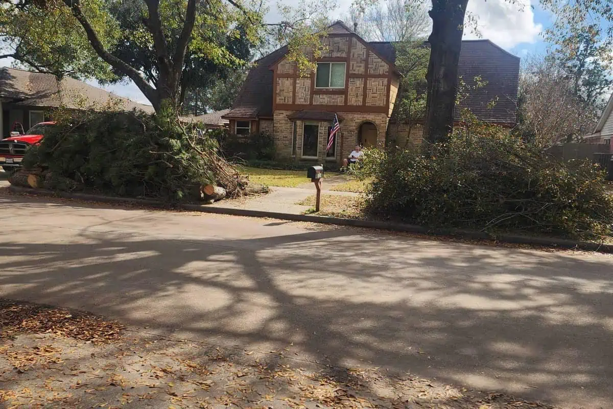 Cut tree wood stacked on a residential lot