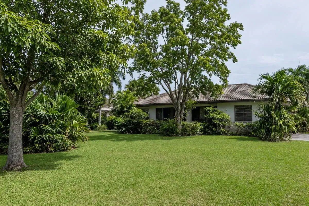 Suburban Florida front yard with mixed healthy trees