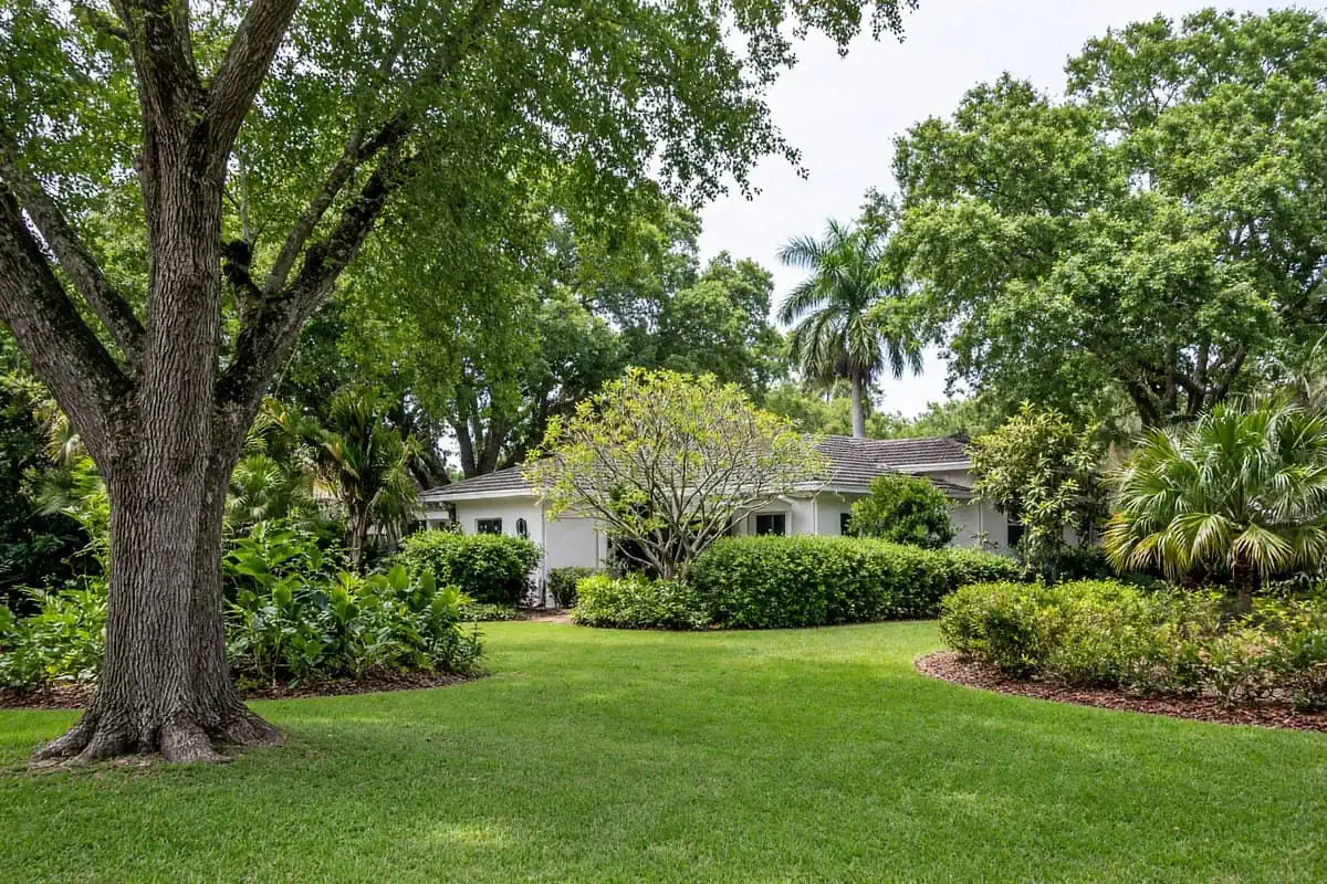 Several shade trees in a maintained Florida yard