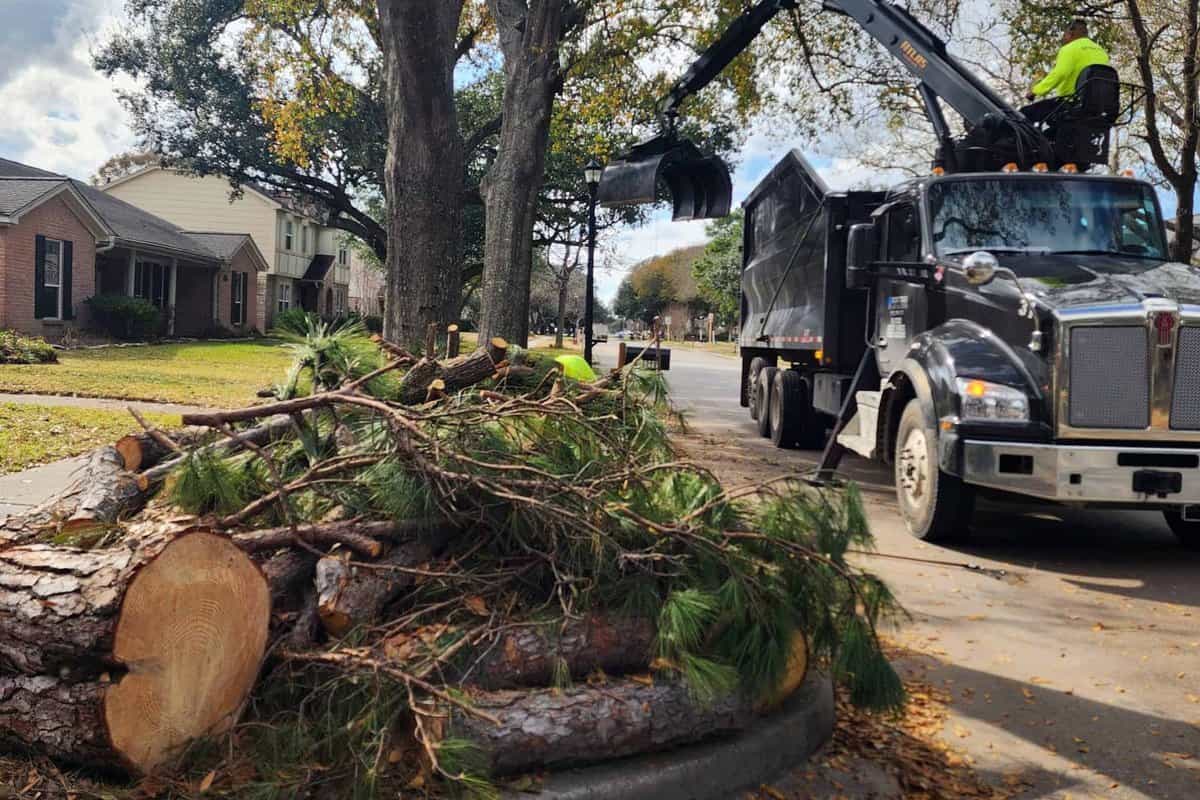 Crew loading cut wood onto a truck