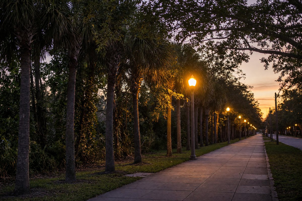 Tree-lined sidewalk at dusk with clear streetlights